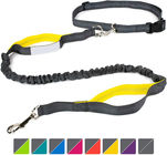 4 Feet Long Bungee Dog Lead With Reflective Stitching