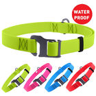 Colorful Water Resistant Dog Collars Stylish Skin Friendly Neck Girth 14" - 26"
