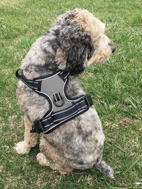 No Pull No Choke Dog Harness With 3 Snap Buckles